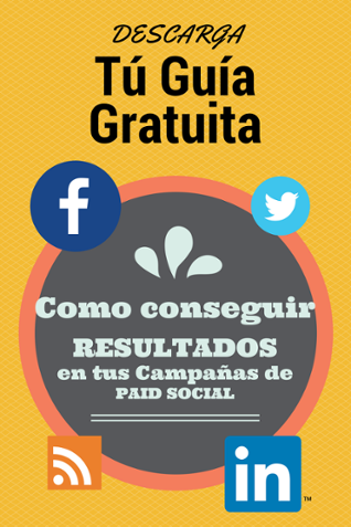 Descarga la Guía "Como Conseguir Resultados en Tus Camapañas Paid Social"